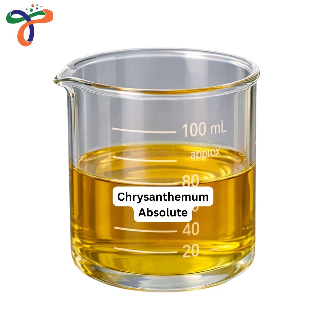Chrysanthemum Absolute